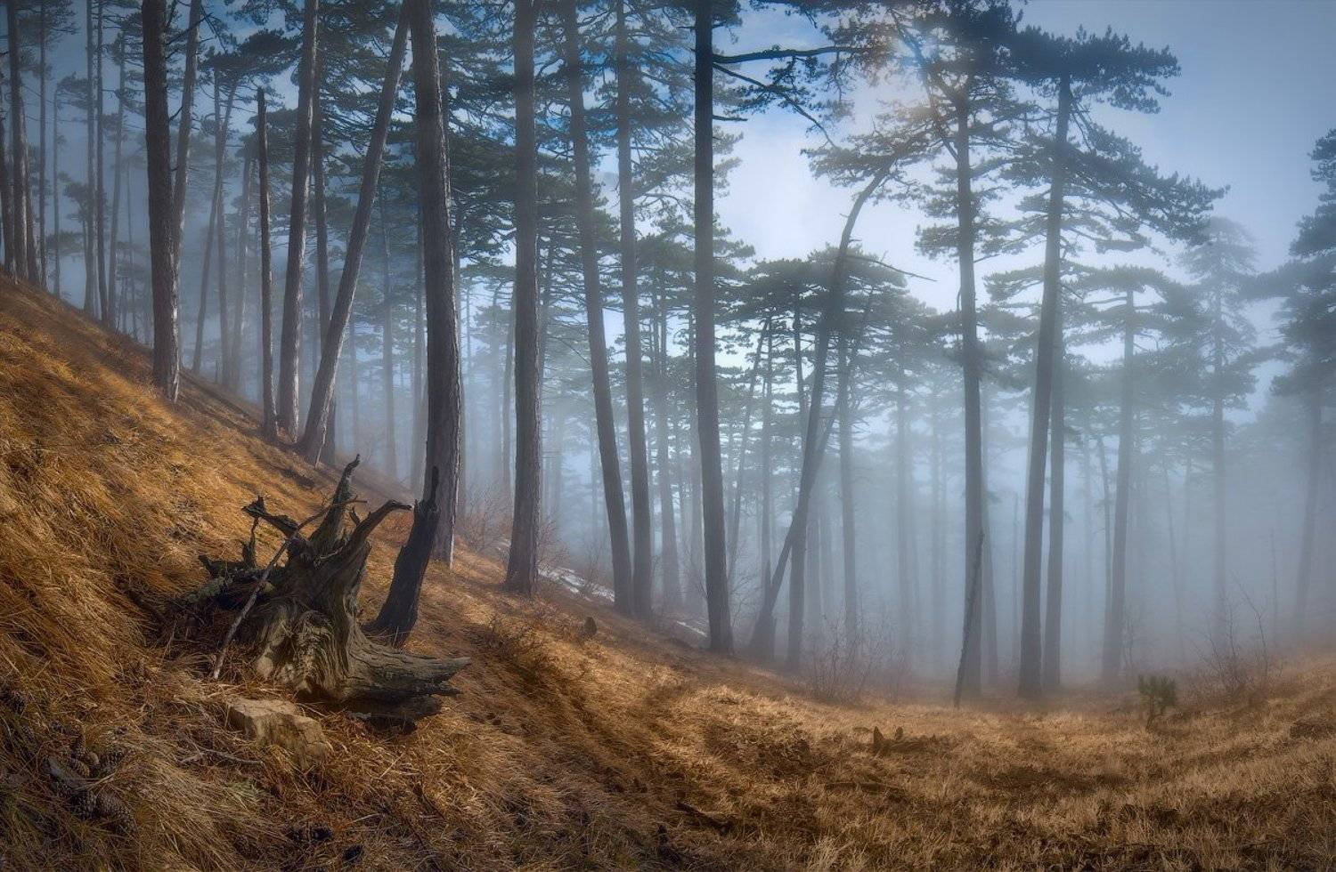 , Виталий Башкатов