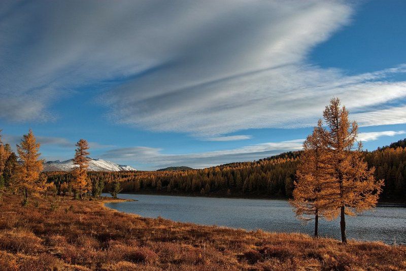 Под крылом ангела фото превью