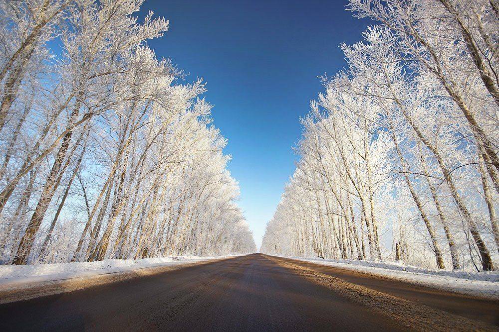 , Владислав.