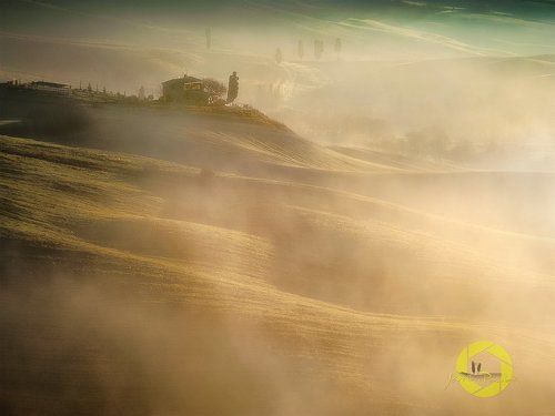 The warmth between mists