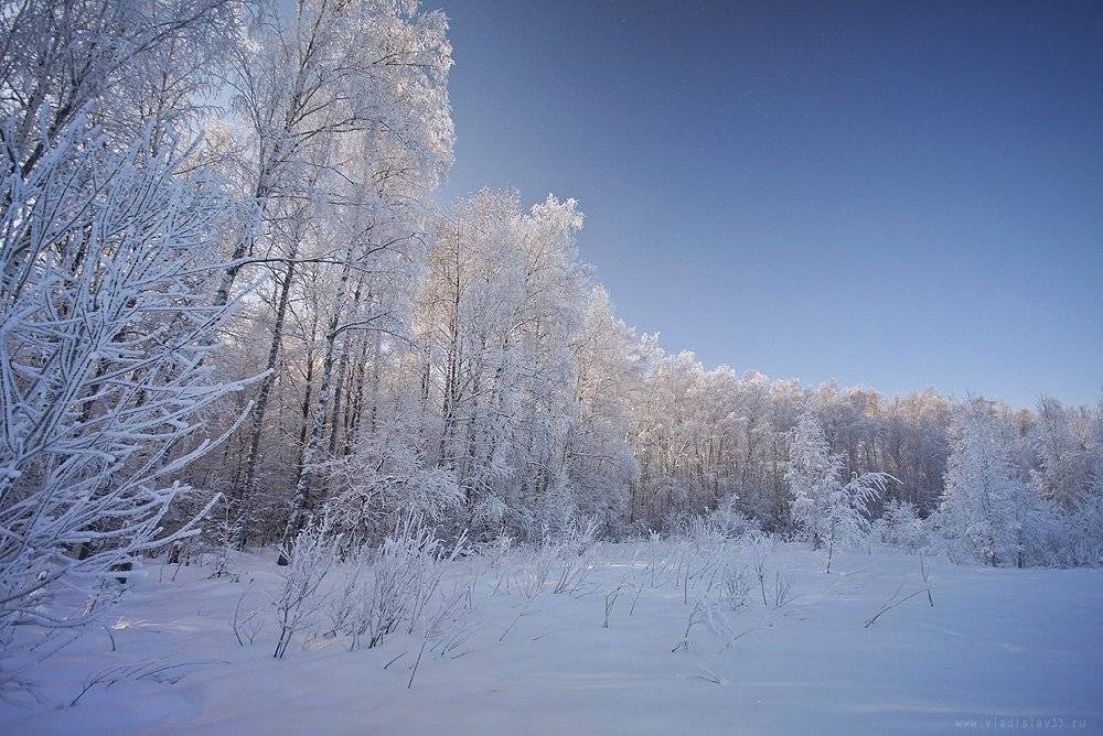 , Владислав.