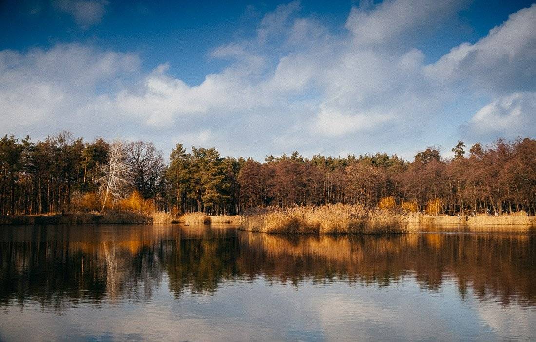 , Ярослав Тюрменко (Jaremi)