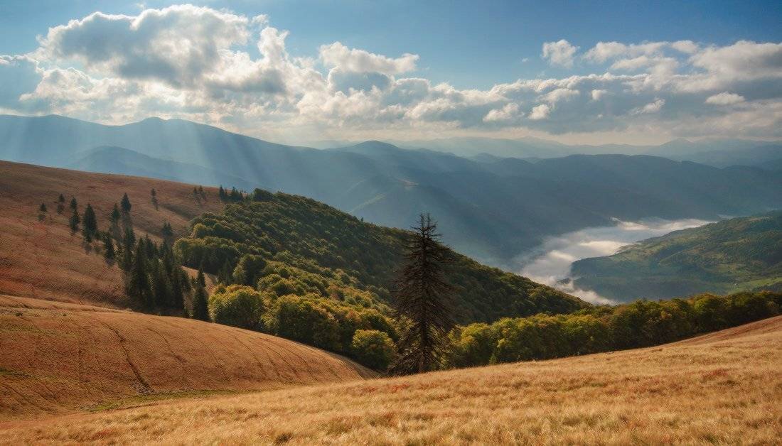 , Ярослав Тюрменко (Jaremi)