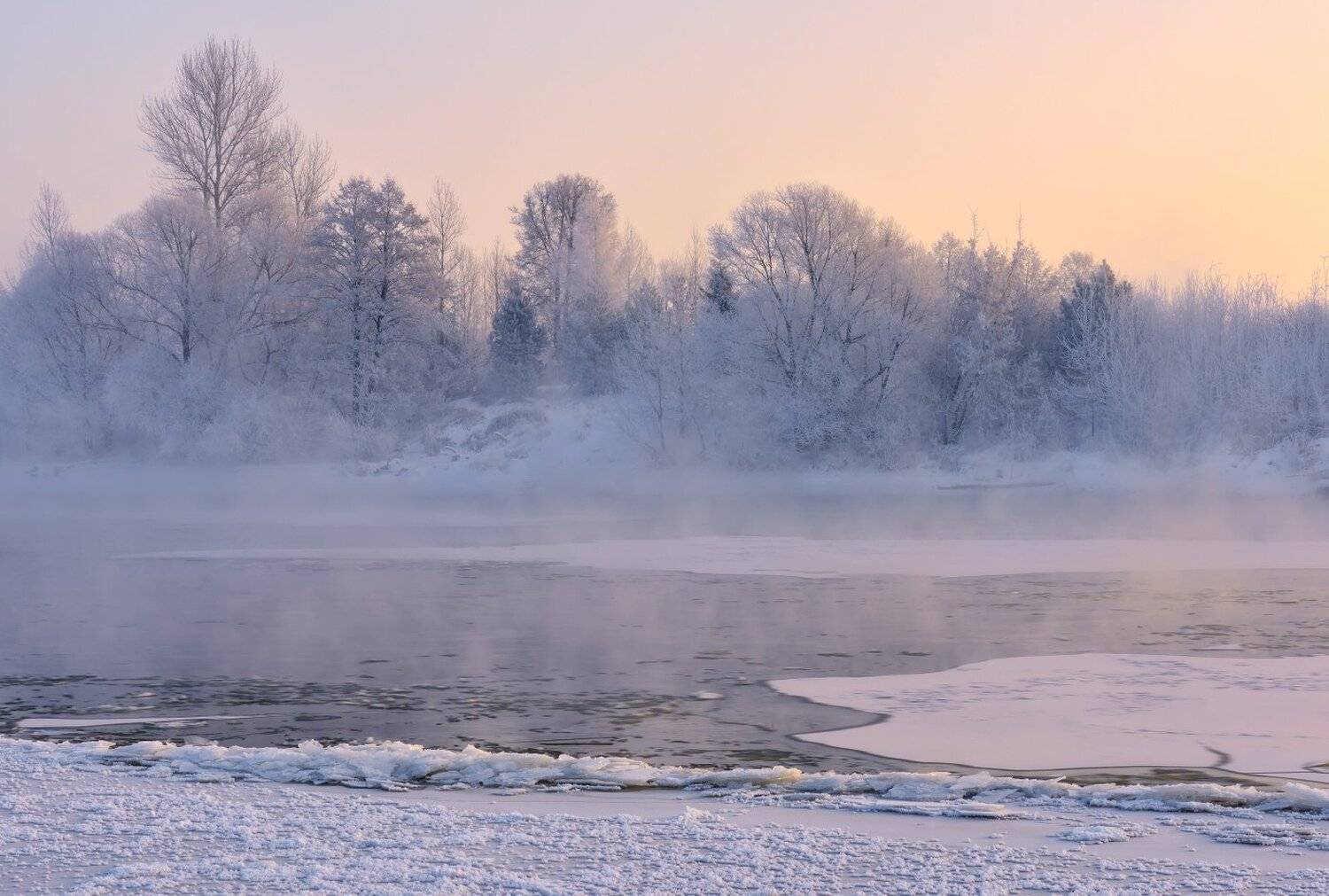 , Максим Евдокимов