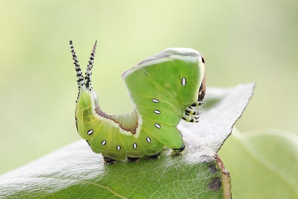 , Сергей Таланов