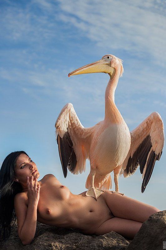 ню, чира ковальски, художественная эротика, пеликан Розовый пеликан фото превью