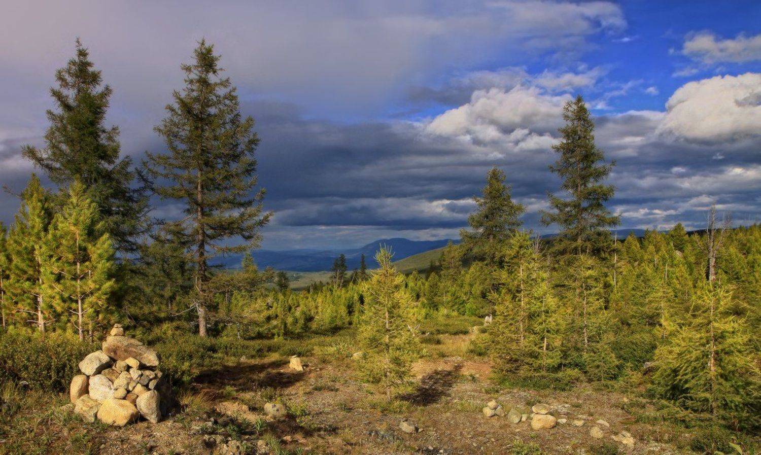 алтай, горный алтай, улаганское нагорье, перевал, Галина Хвостенко