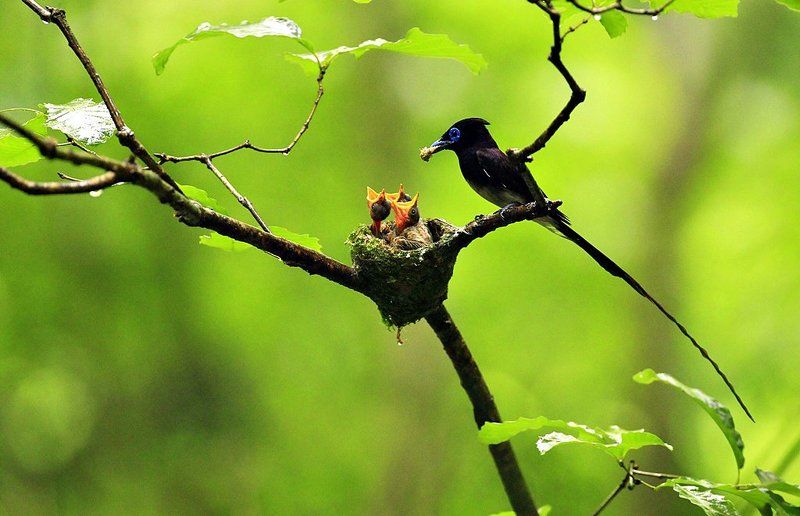 Mother\'s love (Rainy  day...) фото превью