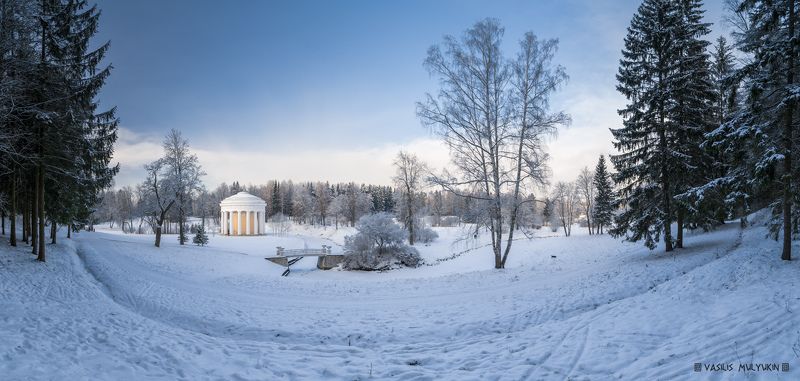 В Павловском парке ... фото превью