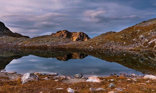 Звонкая тишина