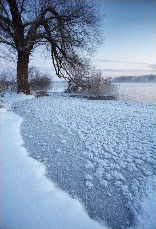 , Вадим Никифоров