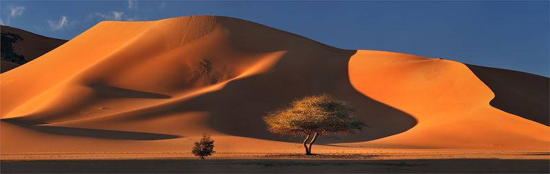 сахара, алжир Закатная фото превью