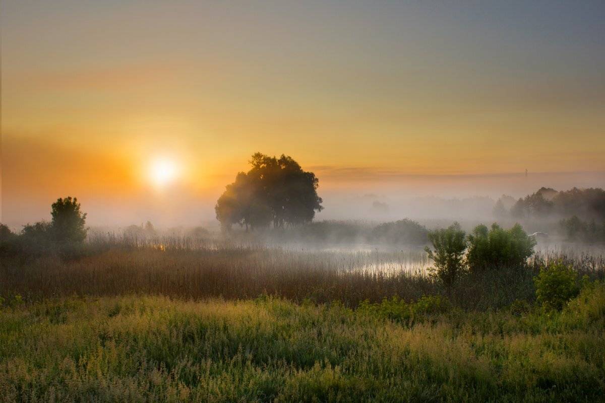, Александр