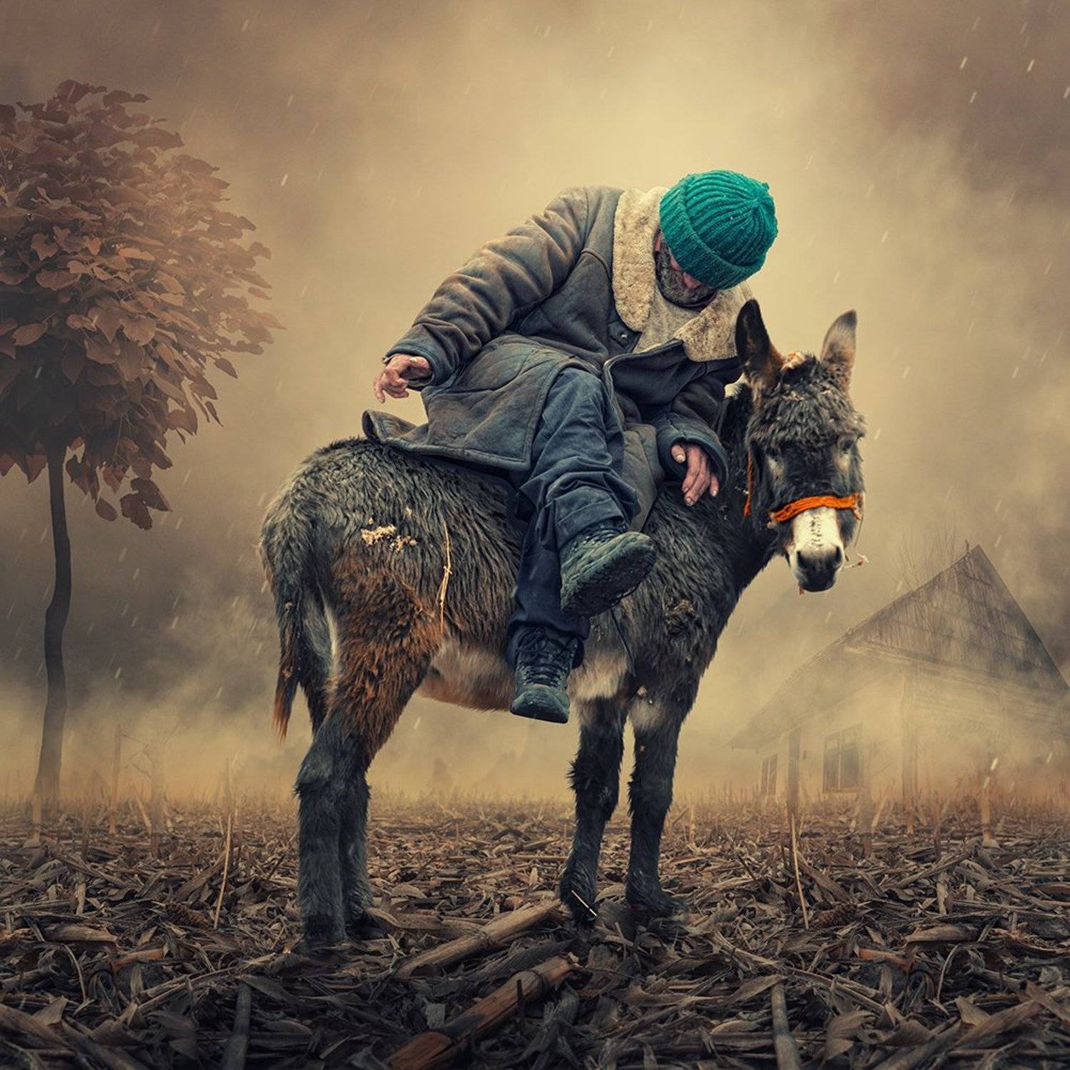black, dunkey, fantastic, flowers, fog, ground, man, manipulation, mystery, old, psd, rung, smoke, tutorials, walking, wings, Caras Ionut