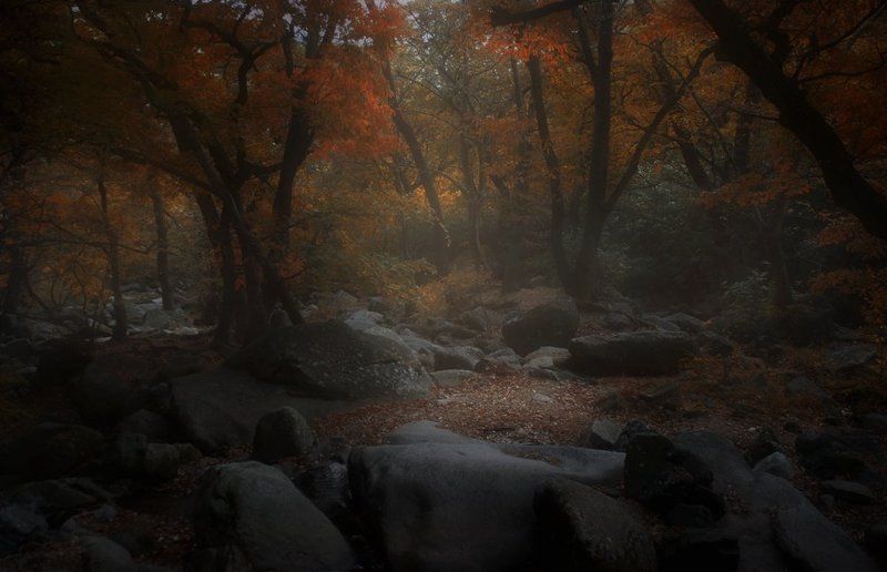 В парке фото превью