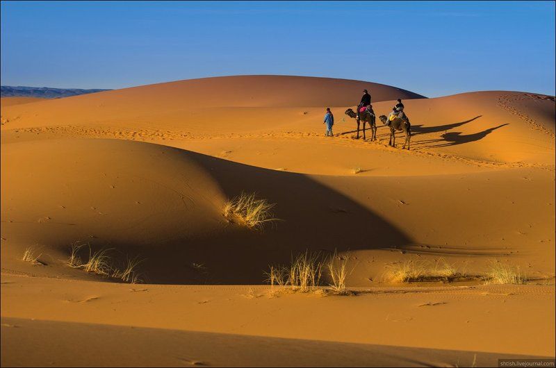 Morocco Стандартное фото из Марокко фото превью