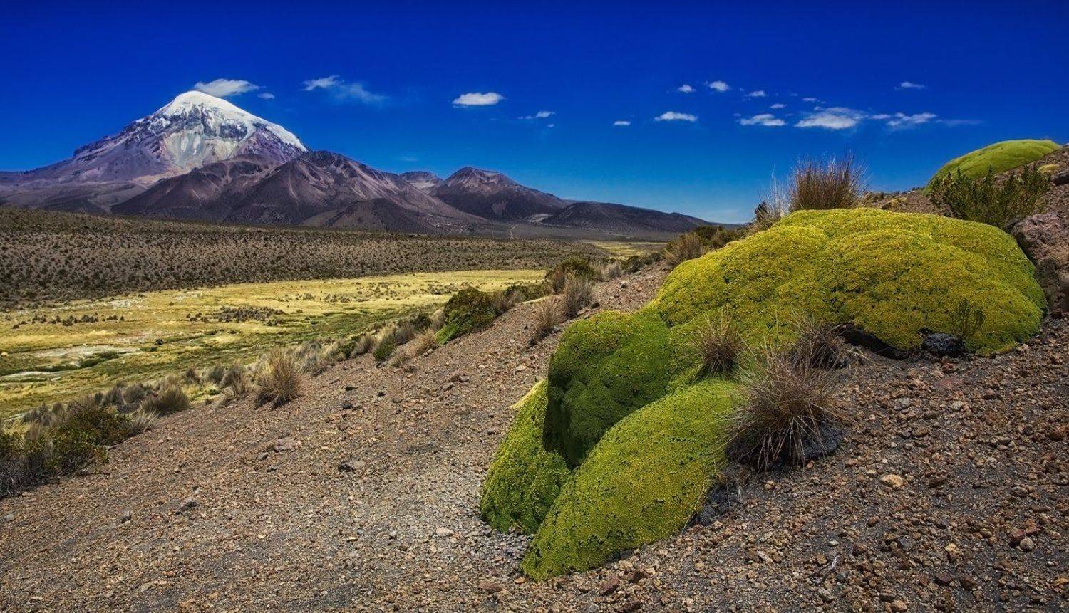 bolivia, боливия, mc, М.