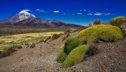 It's not so easy, being green