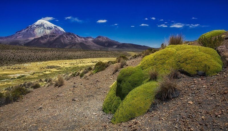 bolivia, боливия, mc It\'s not so easy, being green фото превью