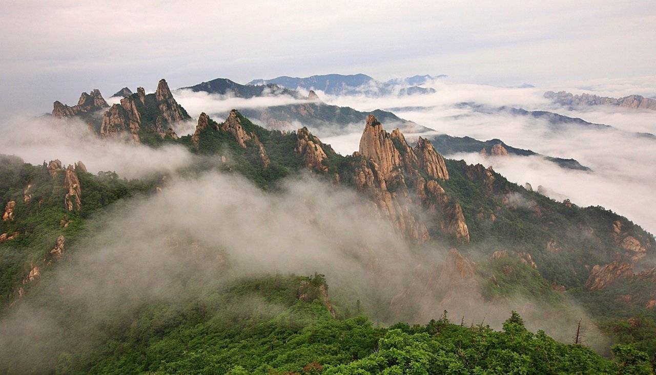 , 박 경 수