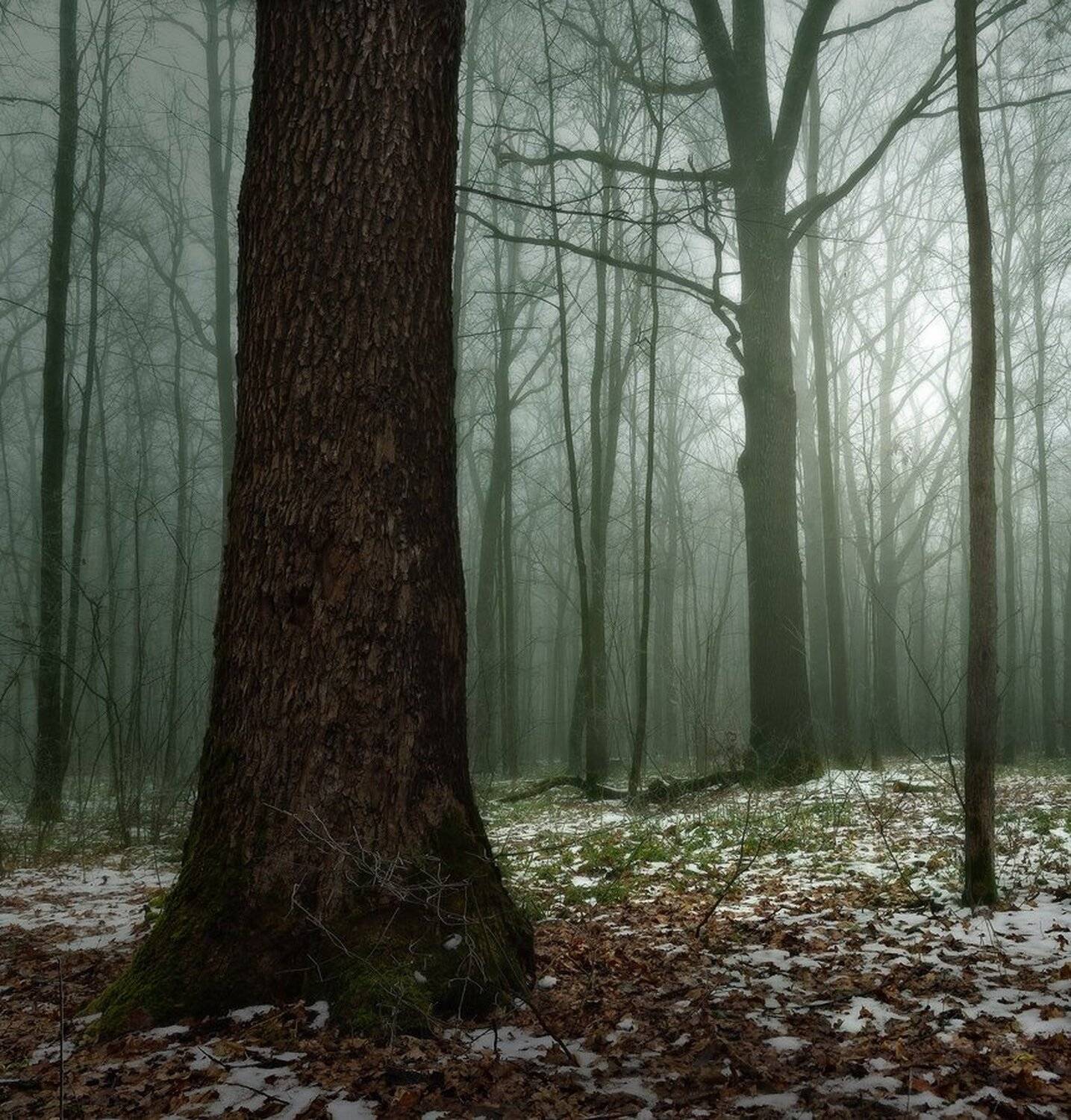 , Животков Андрей