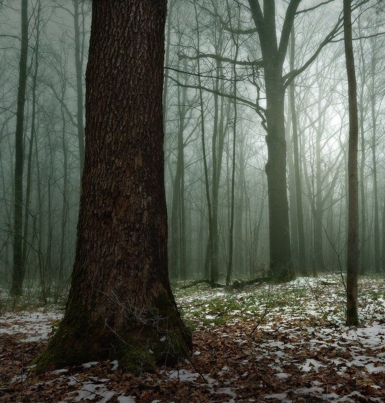 Первоснежье фото превью