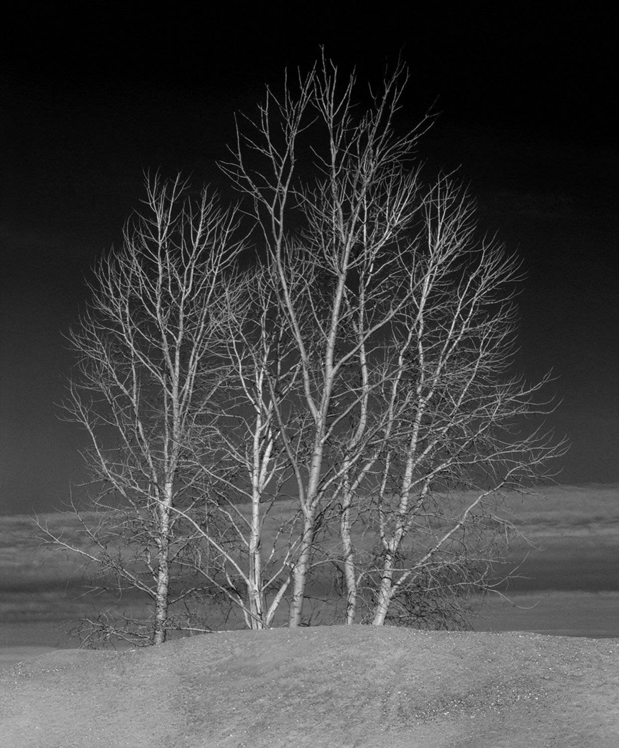 , Игнат Цоколаев