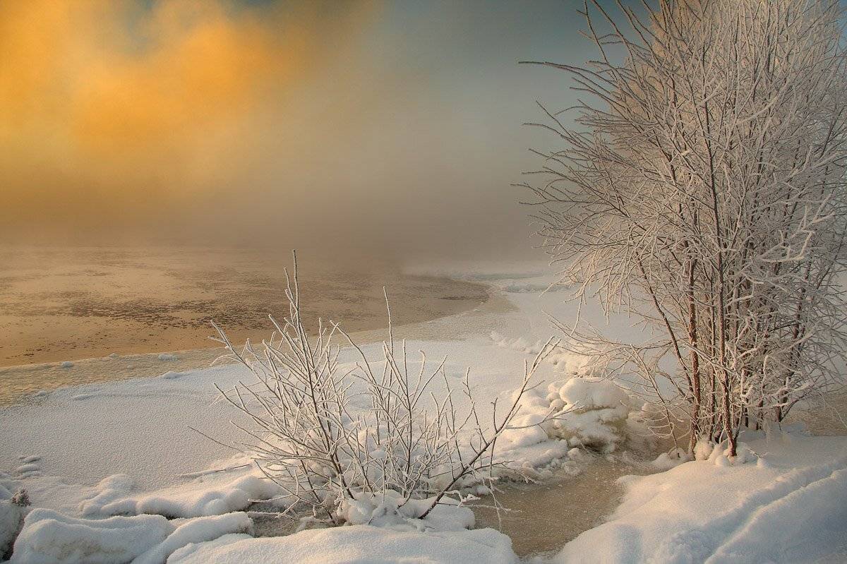 , Александр Коротков