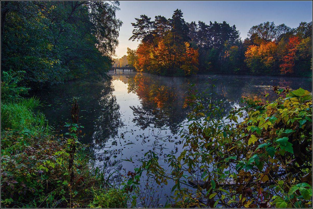 москва, серебренный бор, утро, туман, отражение, АНАТОЛИЙ ДОВЫДЕНКО