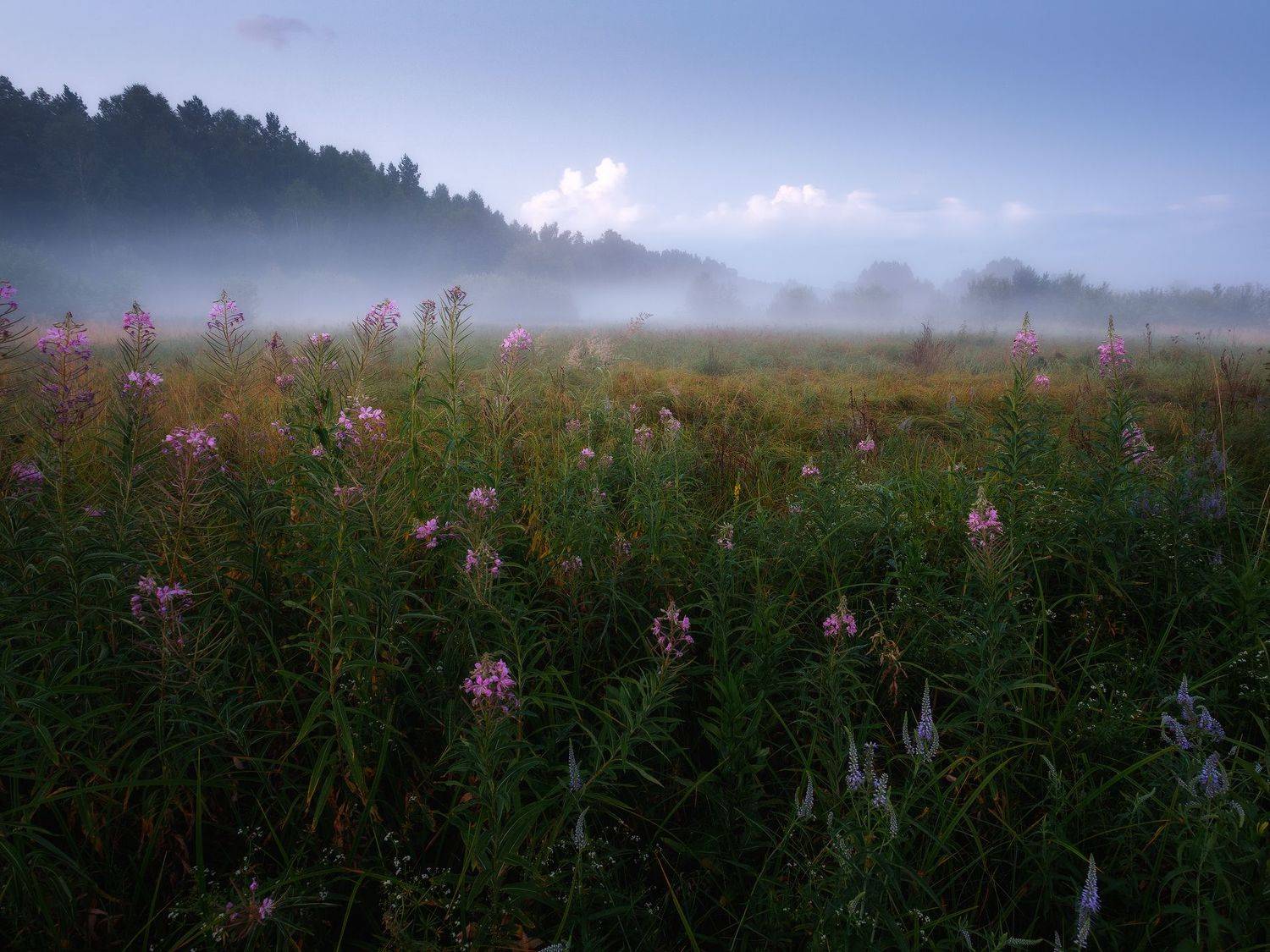 пейзаж, Сергей Сергеев