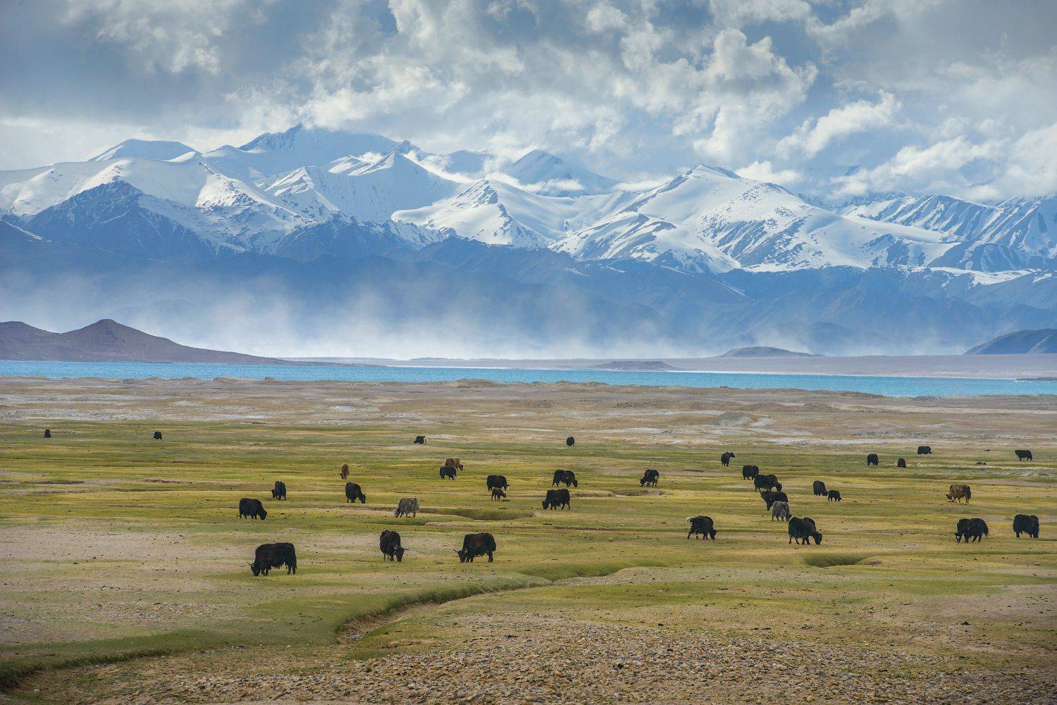 , Кутыгин Эдуард