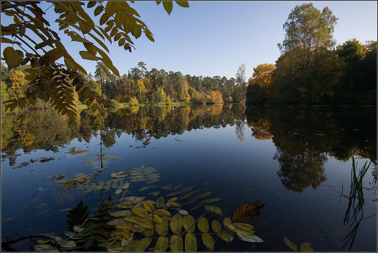 москва, озеро бездонное, АНАТОЛИЙ ДОВЫДЕНКО