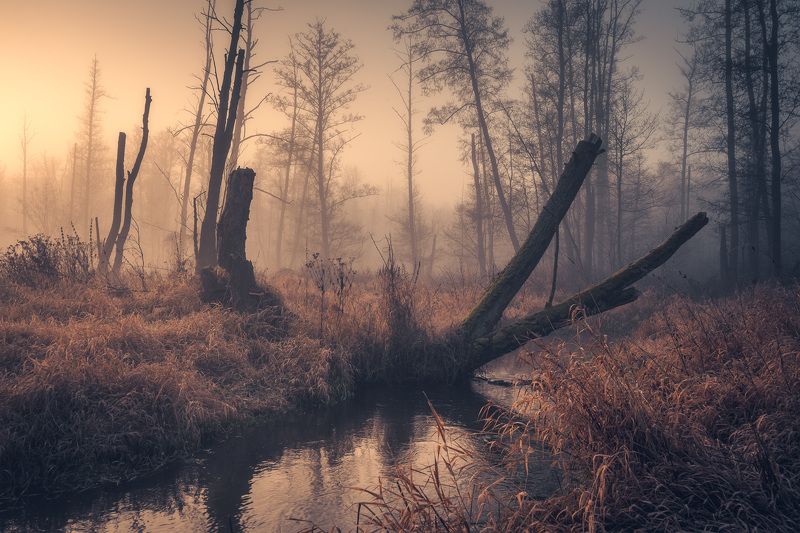 Wild river фото превью