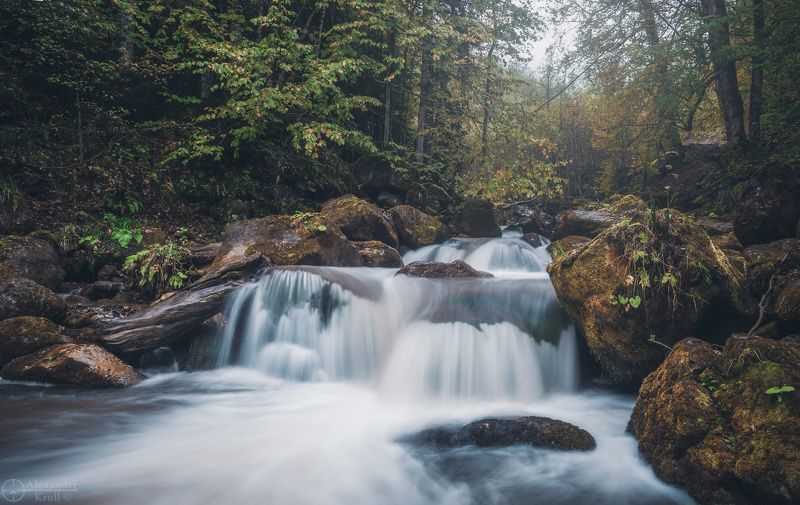 рожкао Одна секунда осени фото превью