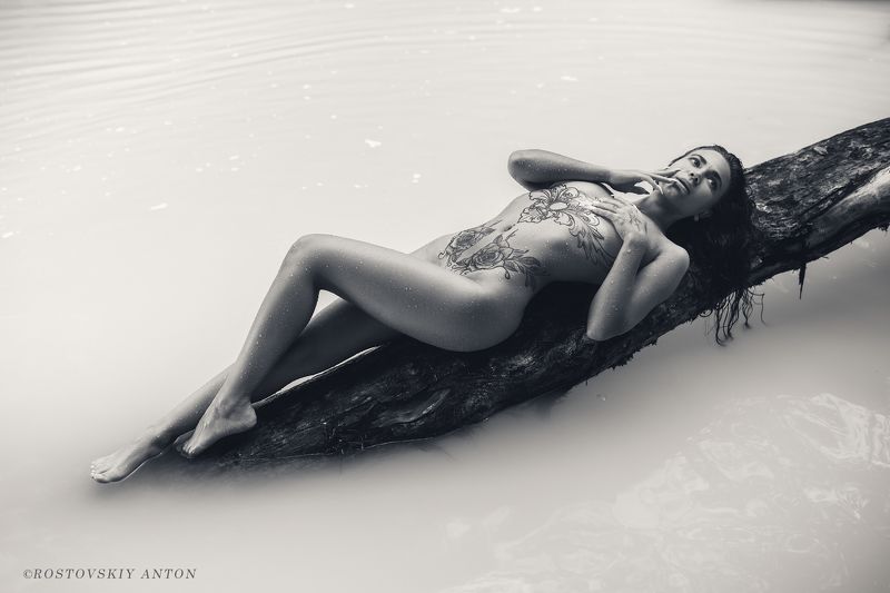 Ню, Сочи, девушка, вода, река, лес,  Упражнения на бревне фото превью