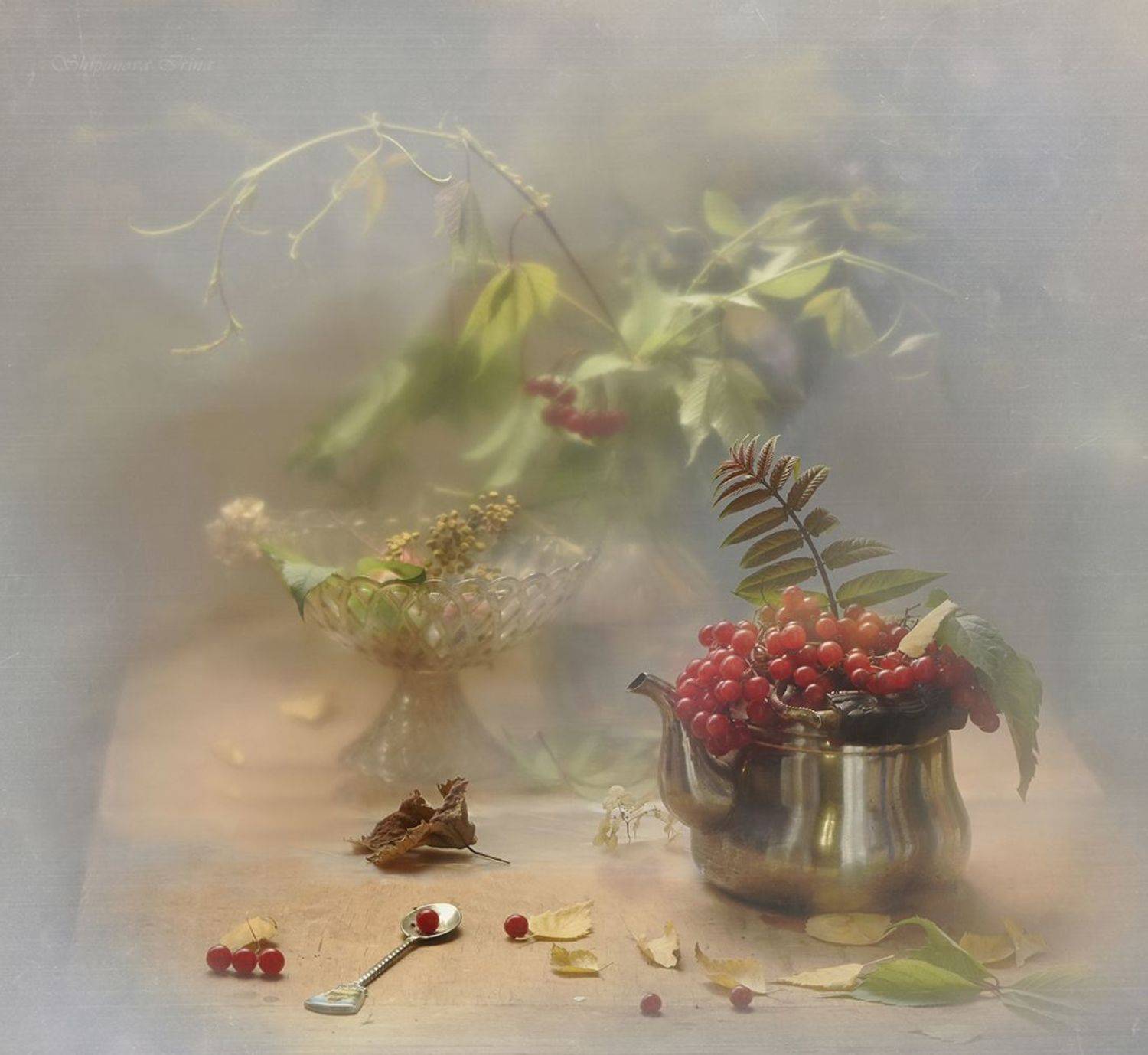 , Шипунова Ирина