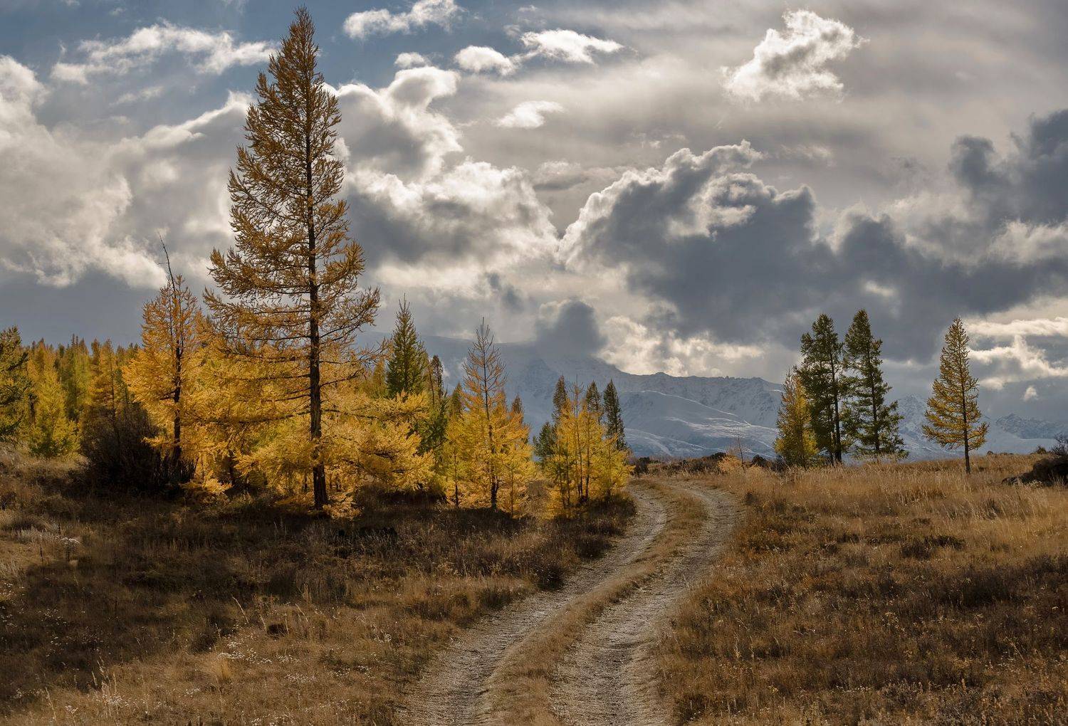 алтай, курайская степь., непогода.,, Марина Фомина