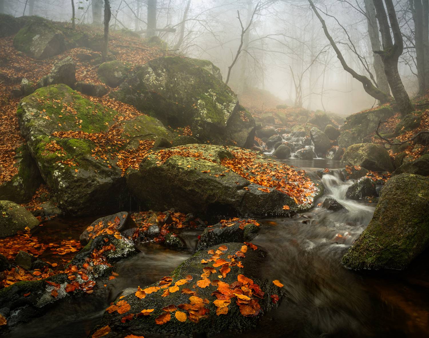 landscape nature scenery forest wood autumn mist misty fog foggy river waterfall colors mountain vitosha bulgaria туман лес, Александър Александров