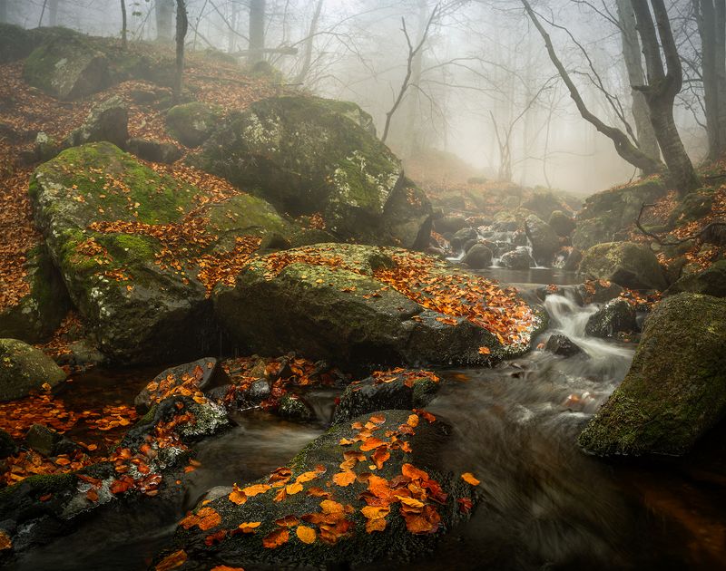Autumn fours