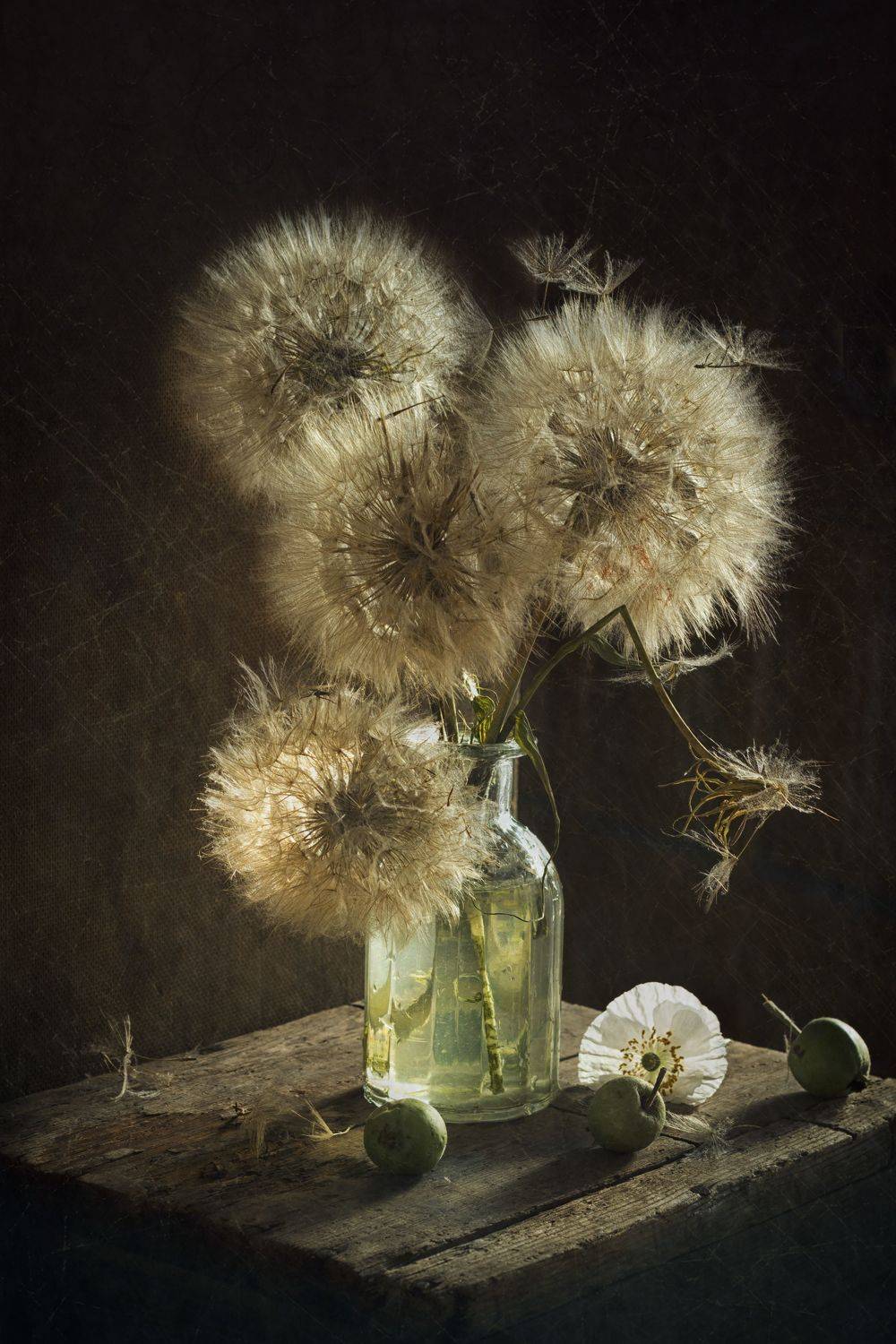 одуванчики, солнечный свет, натюрморт, Лионелла Зимина