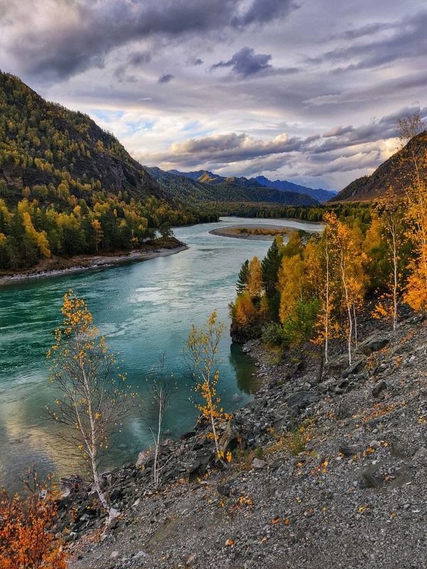 алтай, чемал, барнаул, горно-алтайск, бийск, вода, реки Алтай фото превью