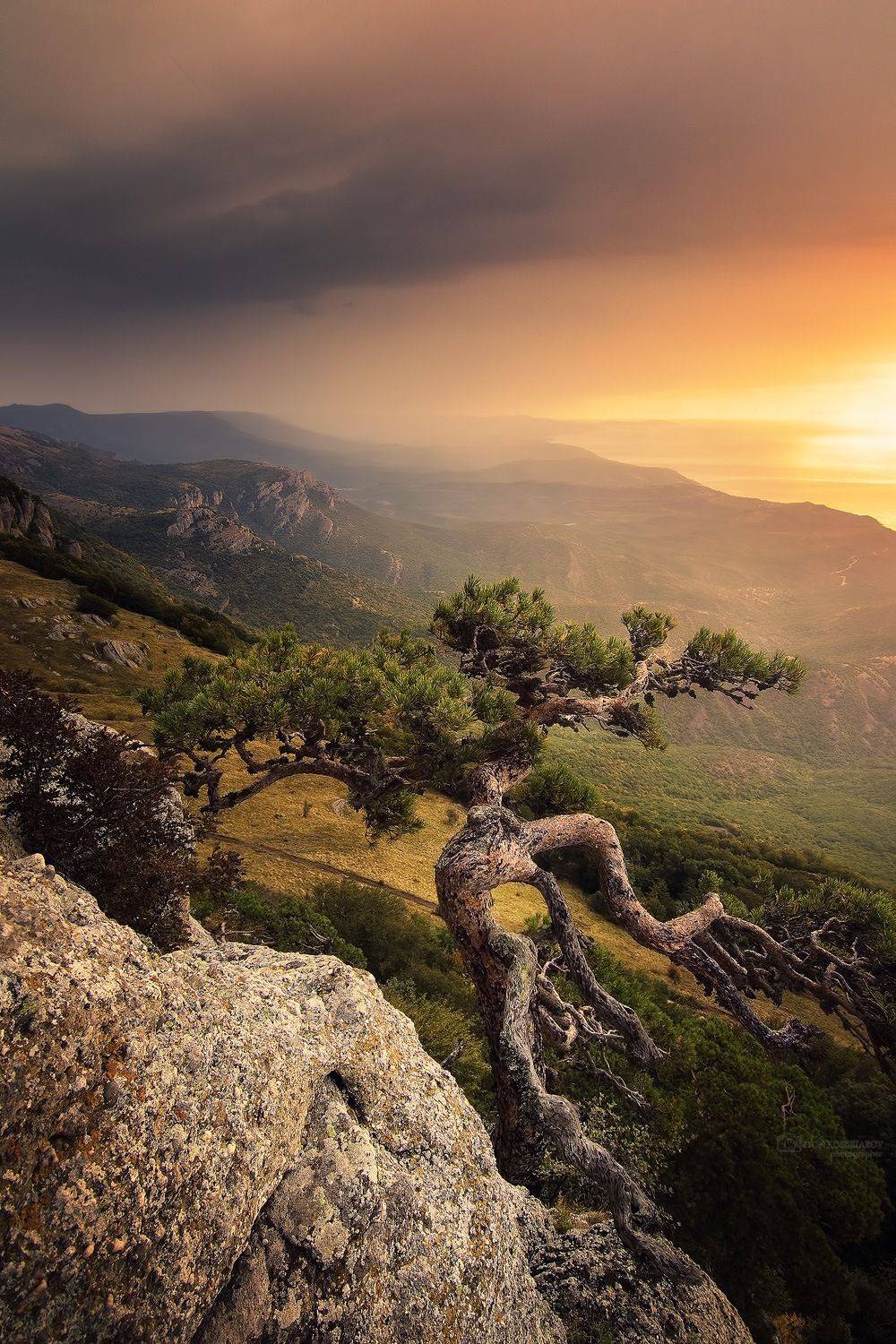 , Антон Кошетаров