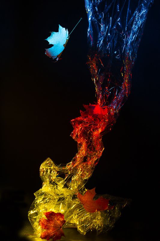 Листья жгут, листья жгут.... фото превью