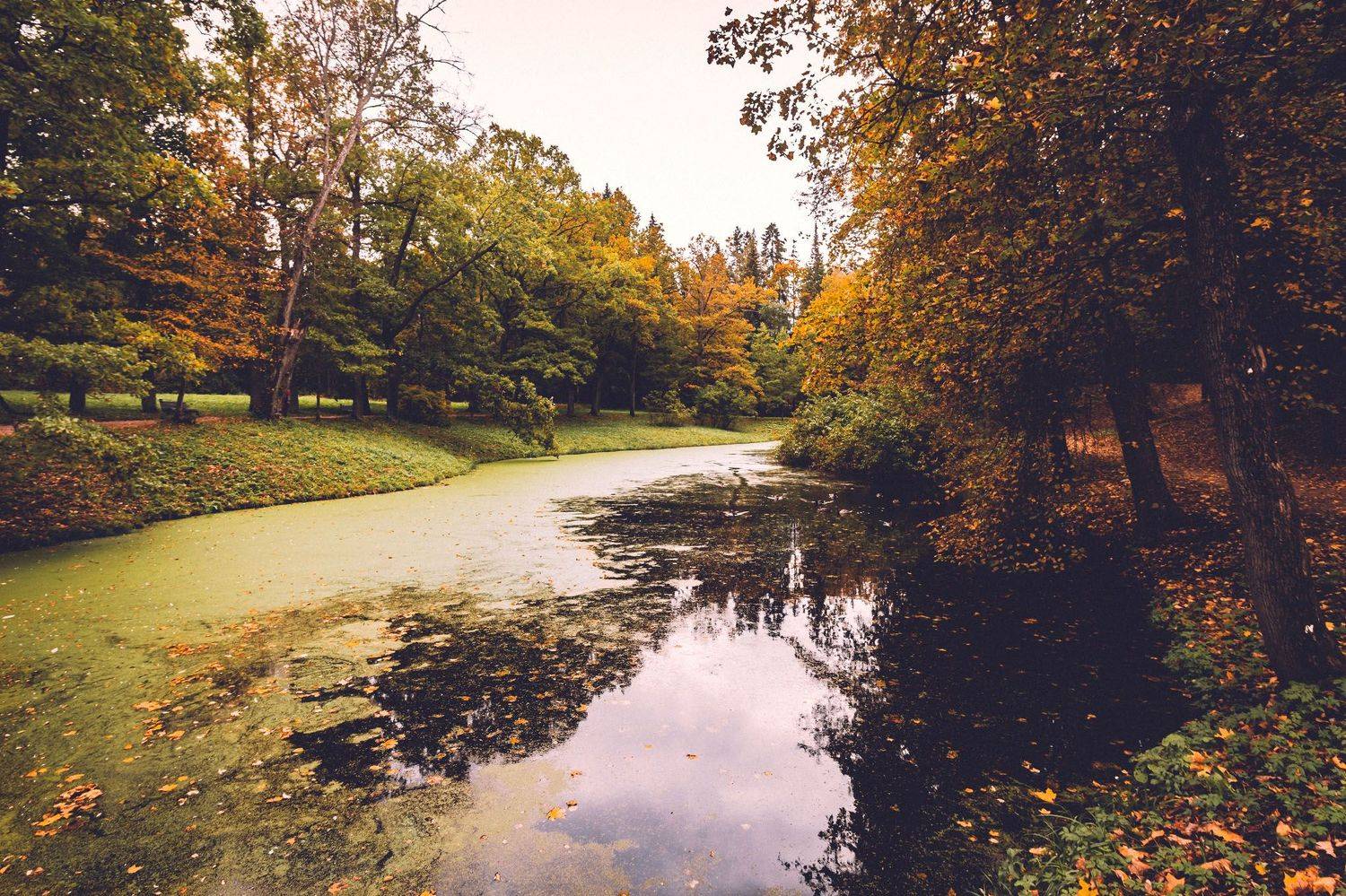 , Алексей Герасимов