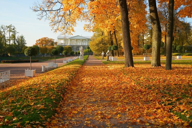 Autumn morning фото превью