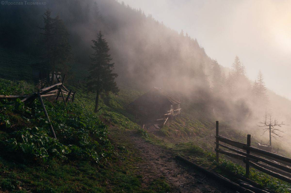 , Ярослав Тюрменко (Jaremi)