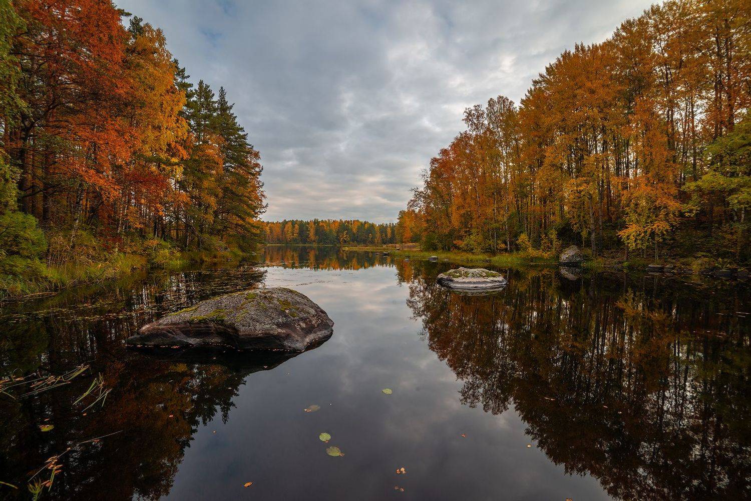 , Роман Горячий