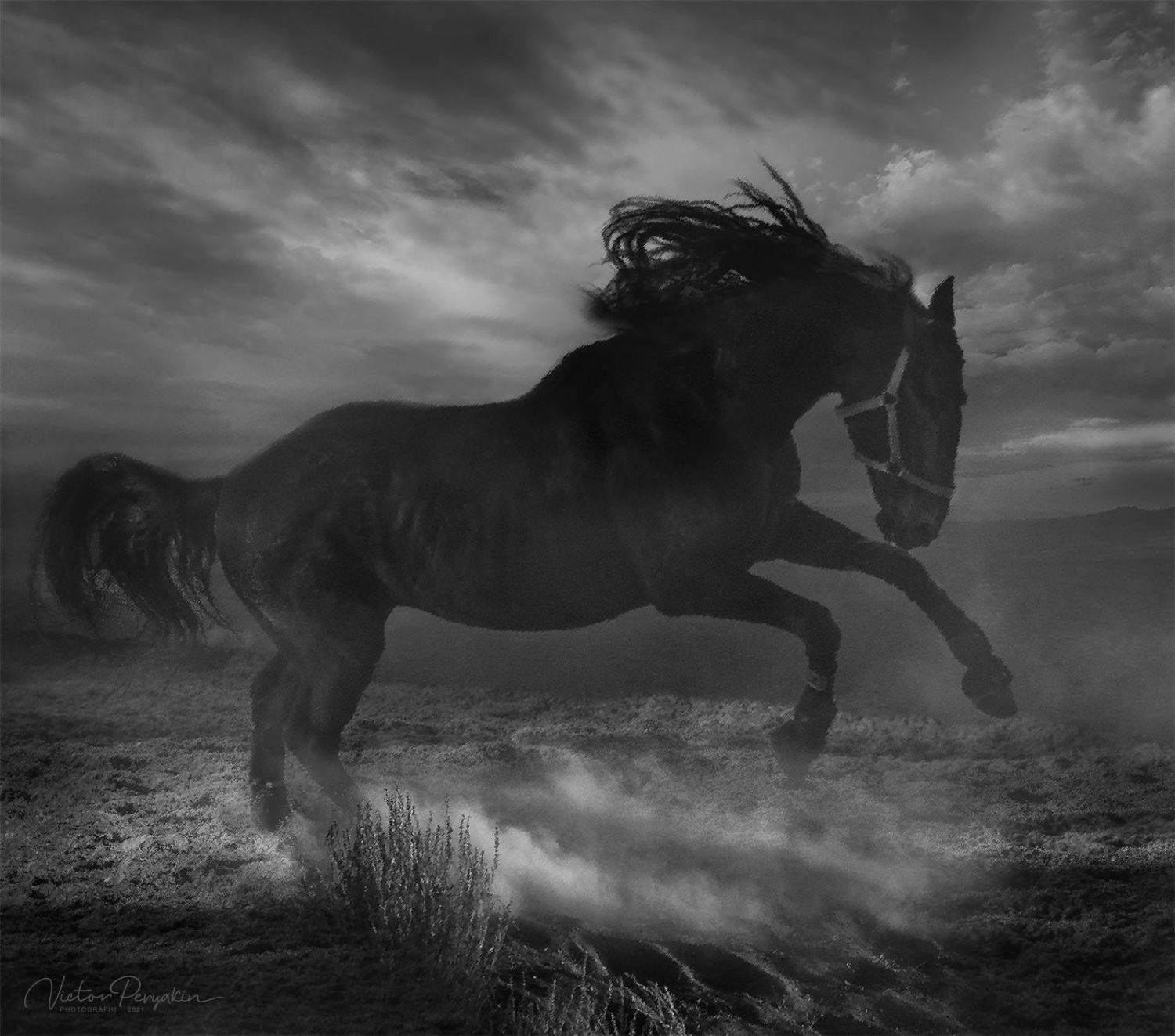 , Виктор Перякин