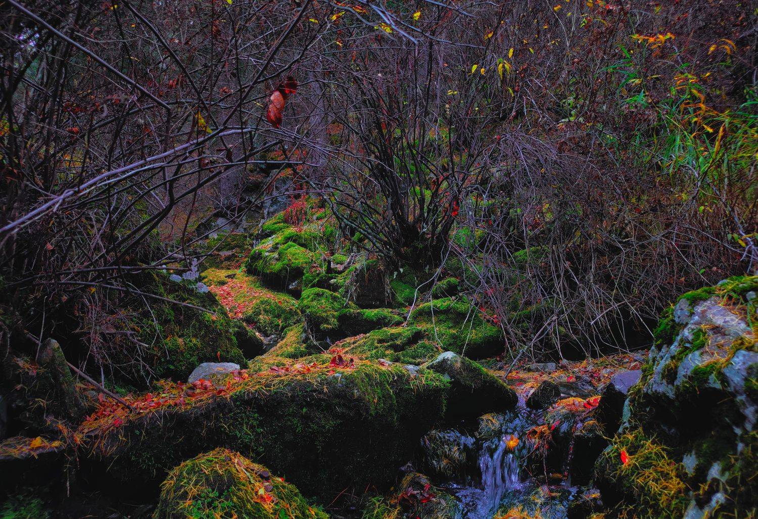 Autumn, Mongolia, mobile photography, Gansukh .S