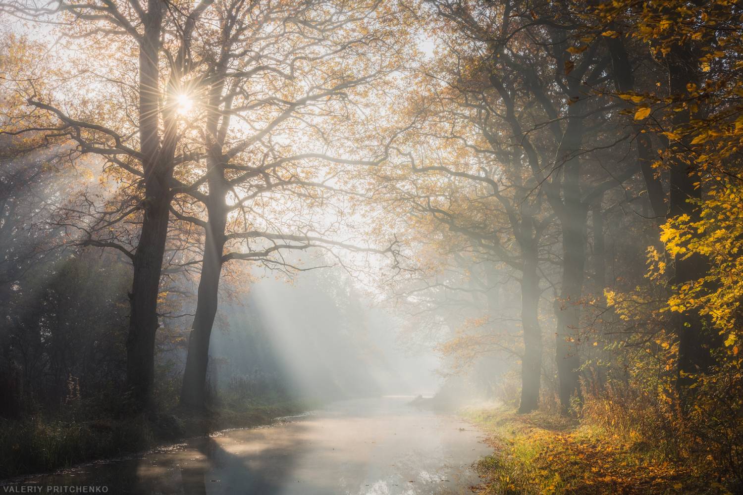 , Валерий Притченко